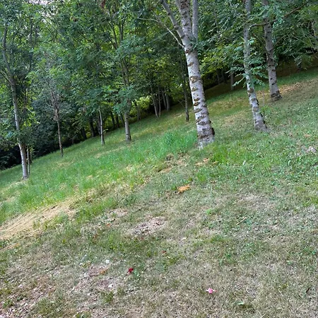 Relax Contrada, Intero Alloggio, Conco, Altopiano Di Asiago Holiday home Conco